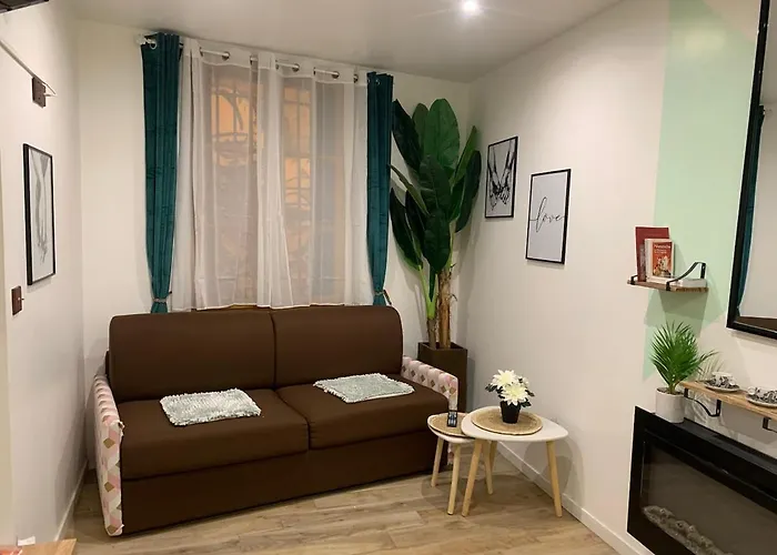 Apartamento Le Figuier Perpiñán